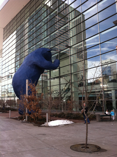 Denver CO Blue Bear