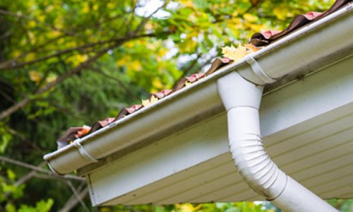 Leaves In Gutter