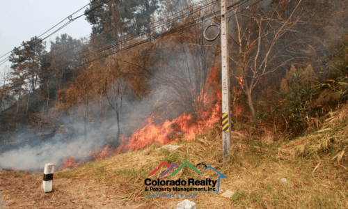 wildfire resources colorado
