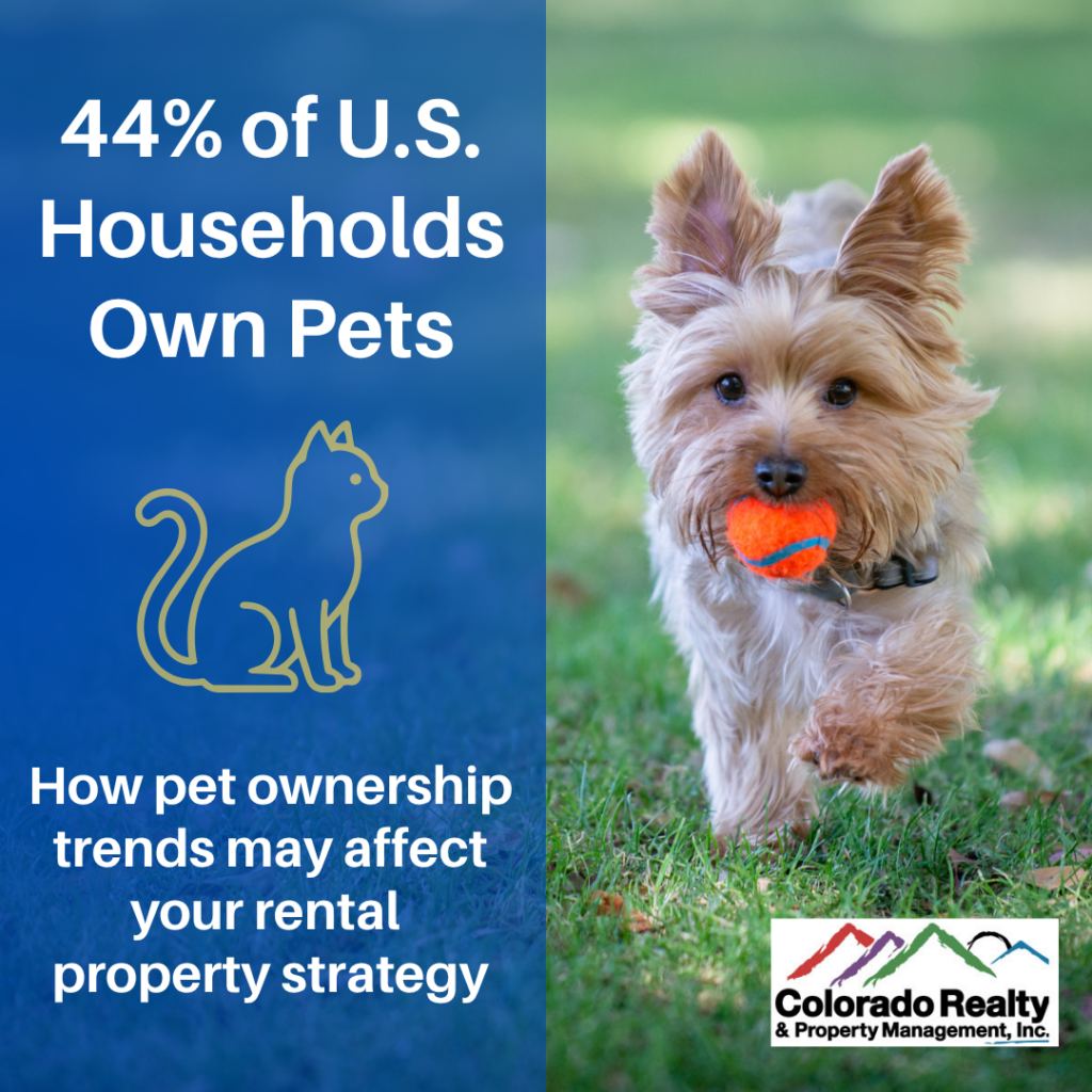 Why Allowing Pets in Your Rental Property Expands Your Tenant Pool