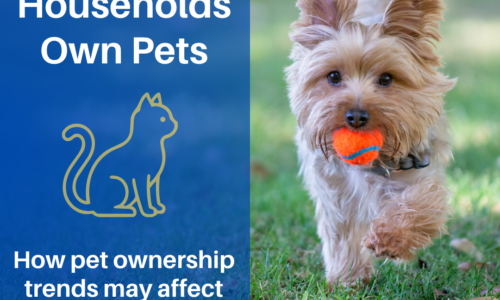Why Allowing Pets in Your Rental Property Expands Your Tenant Pool
