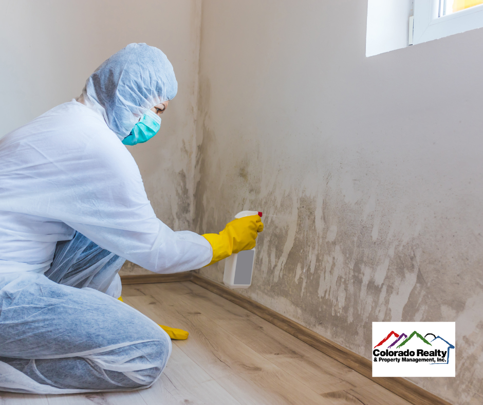 Mold Prevention Tips for your rental property