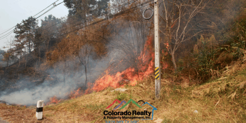 wildfire resources colorado