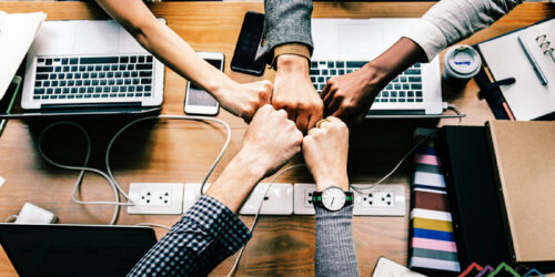 New Business Development Team