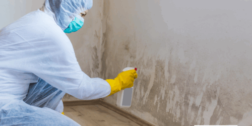 Mold Prevention Tips