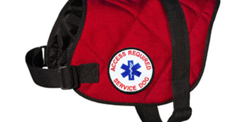 service animals and property management